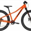 VTT Trek 2019 Roscoe 24 -Promos Vélos Route Store Roscoe24 22705 C Primary mr 1