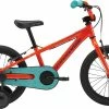 Vélo Enfant Cannondale 2018 Trail 16 Single-Speed Boy’s -Promos Vélos Route Store Velo enfant Cannondale Trail 16 Garcon 2018 ARD